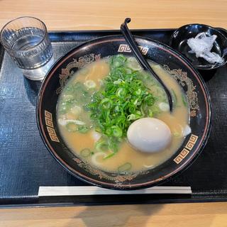 (ラーメン横綱 刈谷オアシス店)