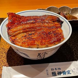 特製丼(うなぎ 日本橋 伊勢定)