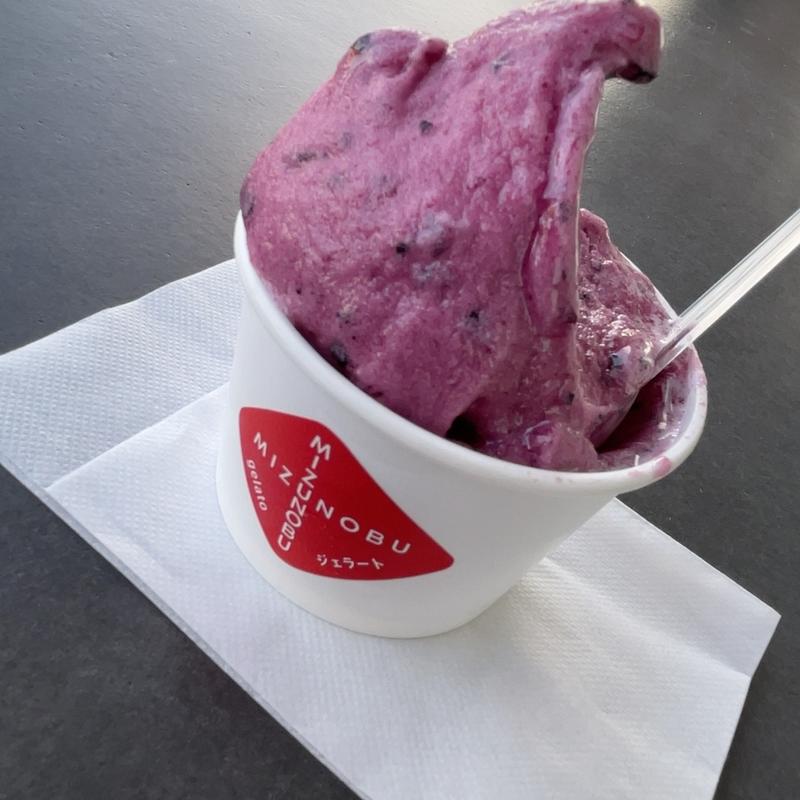 ミズノパープル (ジェラート)(水信ブルック＆ファクトリー)