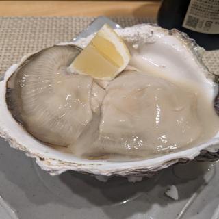 五島列島産岩牡蠣(てるい )