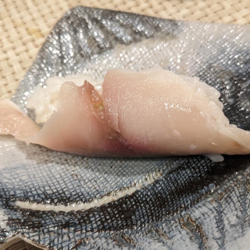 マハタ(てるい )