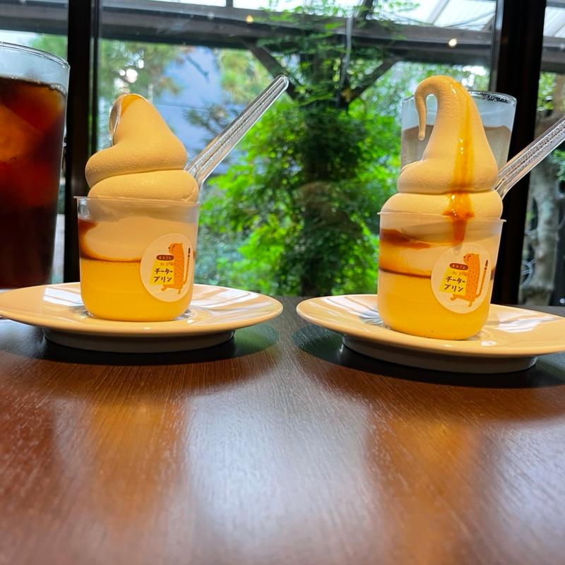 (チータープリン)