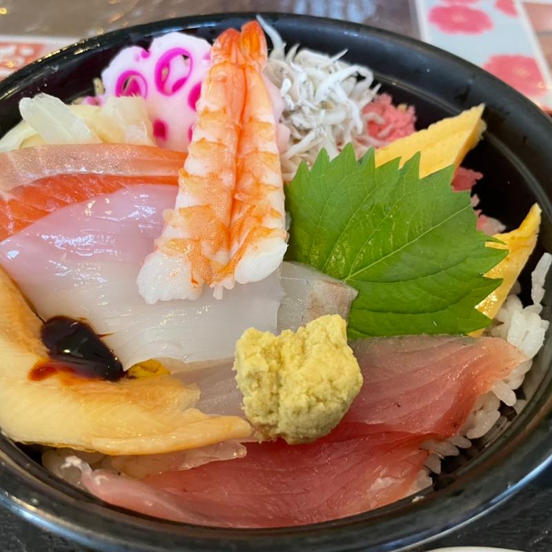 ちらし寿司小うどん付(敷島)