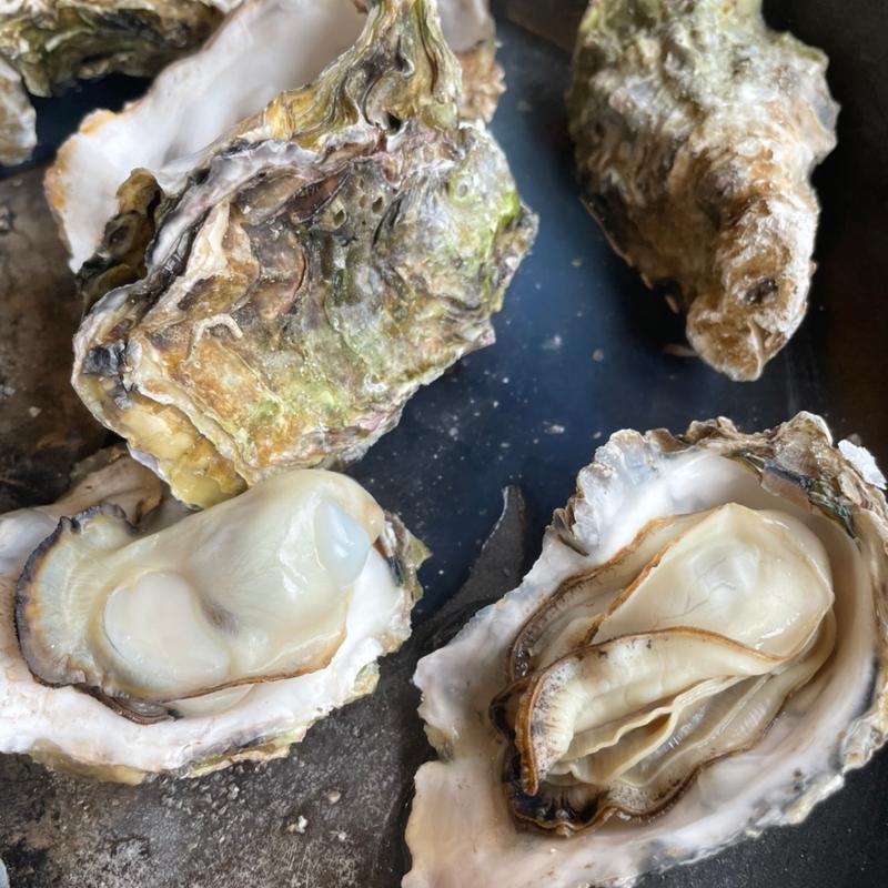 牡蠣の食べ放題(風蘭の館 （ふうらんのやかた）)