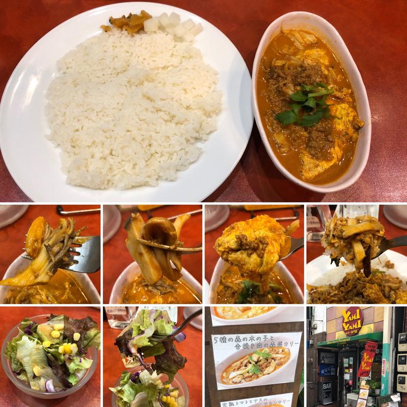 五種の木の子と合挽き肉の森盛りカリーにふわふわ卵(YAMIYAMI)