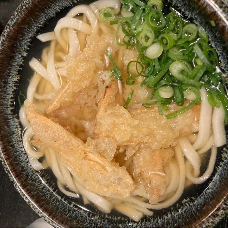 ごぼう天うどん(うどん・そば処 あずみうどん 大刀洗本店)