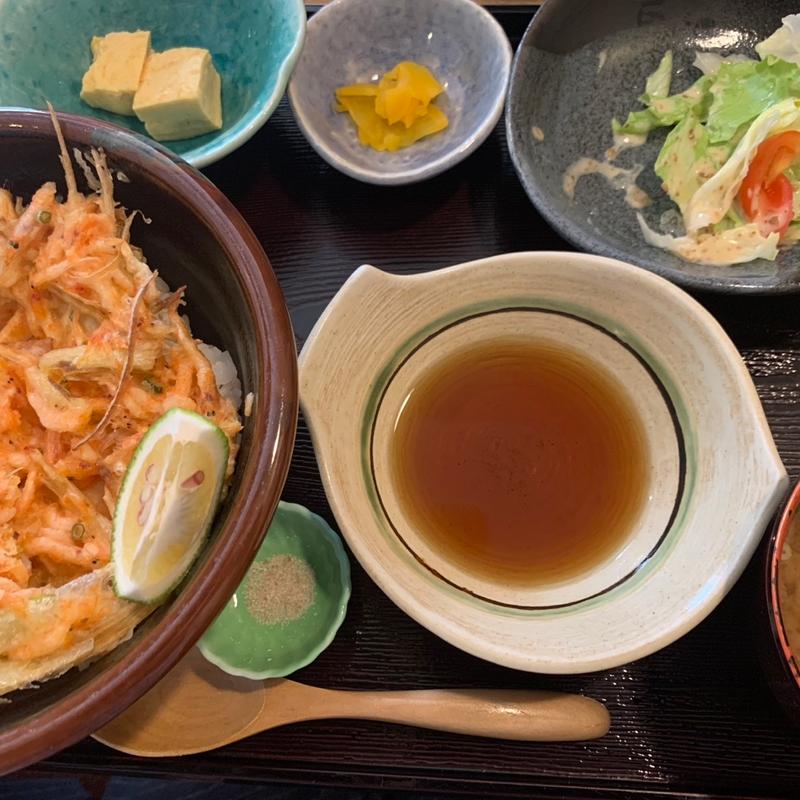 桜えびかきあげ定食(日向夏)