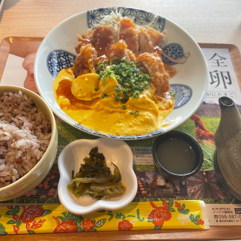 黄金タルタルのチキン南蛮(鳥と卵の専門店 鳥玉 パルコシティ店)