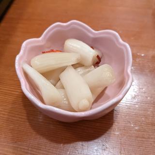 らっきょ(ひと椿)