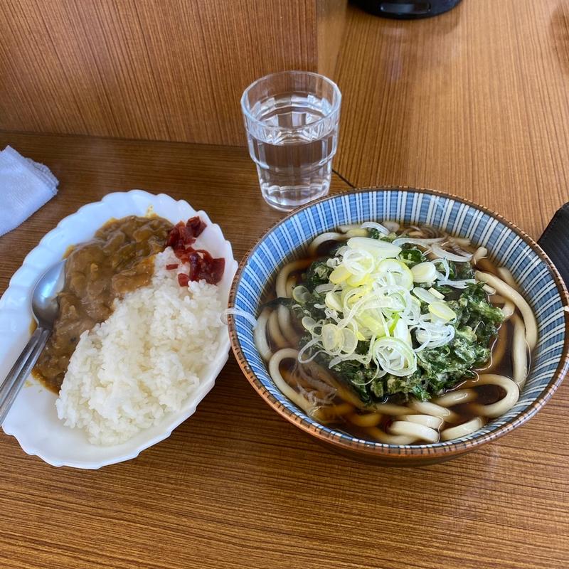 春菊うどん、カレーライス(たまも )