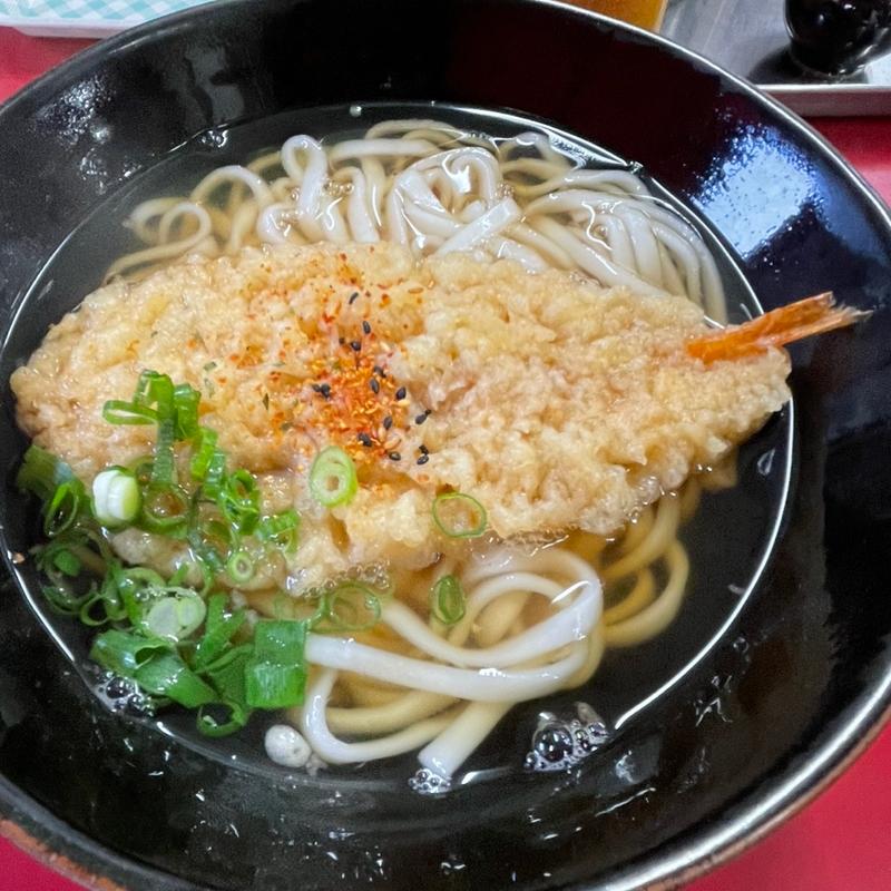 天ぷらうどん(たつみや)