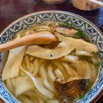 松茸うどん(八十八庵)