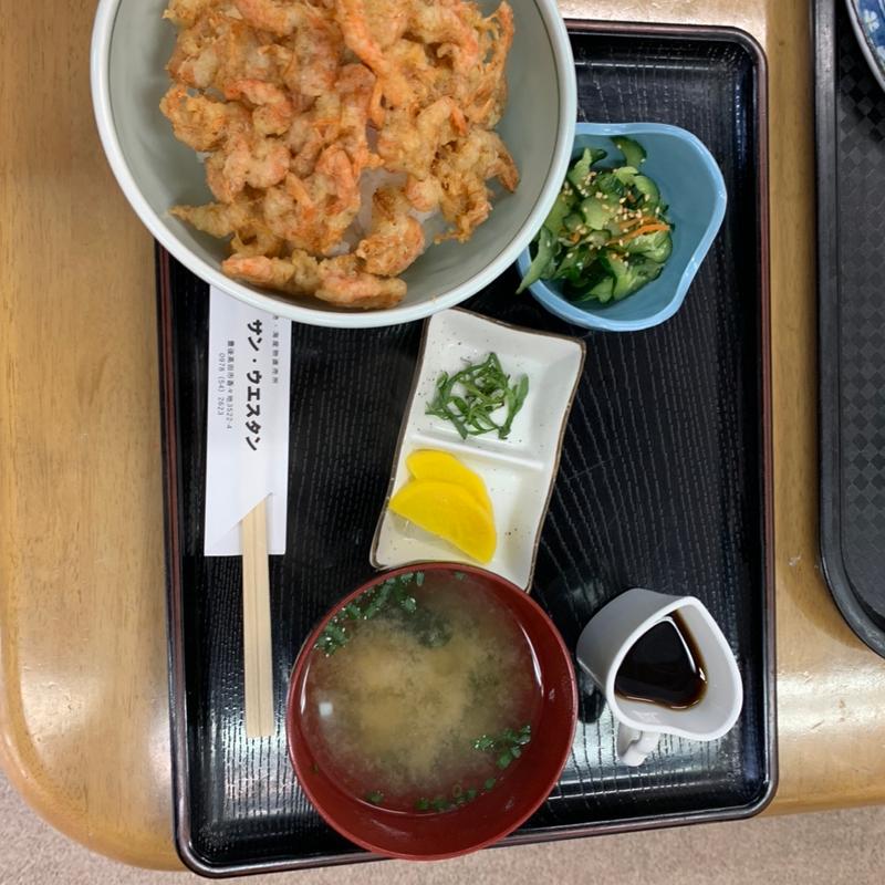 岬かき揚げ丼(農・海産物直売所 サン・ウエスタン)