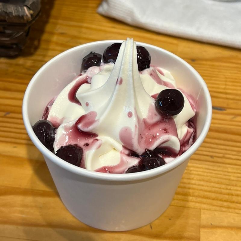 ブルーベリーソフトクリーム(いわて銀河プラザ)