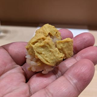 ウニ、マッサマンカレー、ココナッツミルク(変タイ鮨すがひさ)