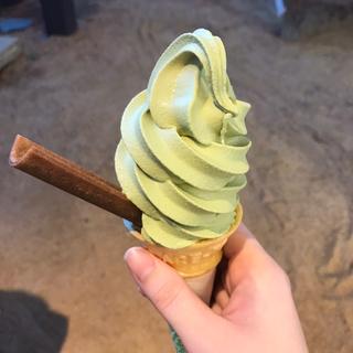 豆腐ソフトクリーム 抹茶味(京都嵐山 サガパー 本店)