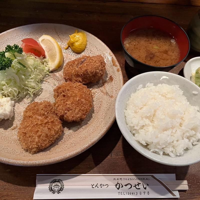ヒレかつ定食(とんかつ かつせい)