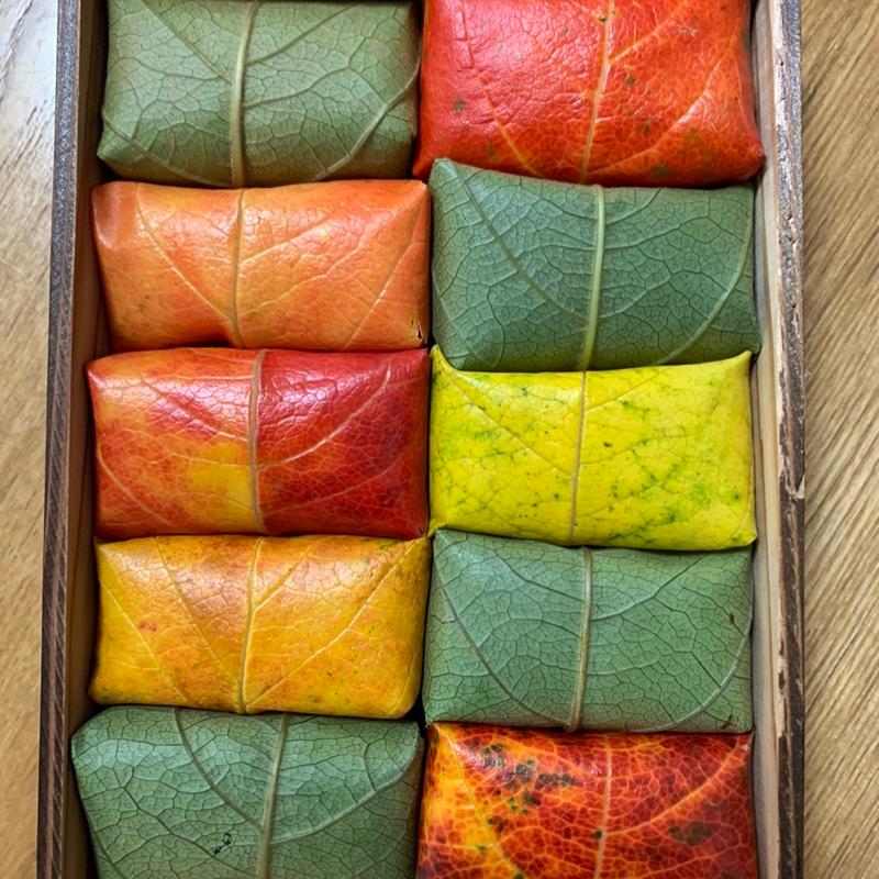 紅葉柿の葉寿司(山の辺 桜井本店)