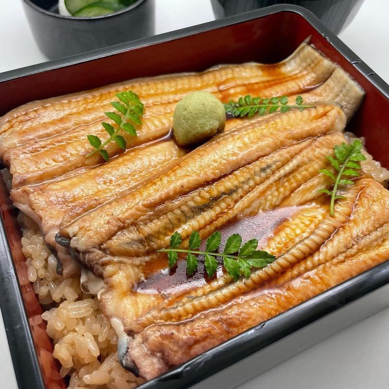 冷やしうな重(うなぎ料理専門店 川昌)