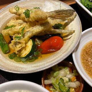 メゴチの天麩羅と野菜の揚げびたし定食(春秋 渋谷文化村通)