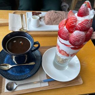 (seoul cafe)