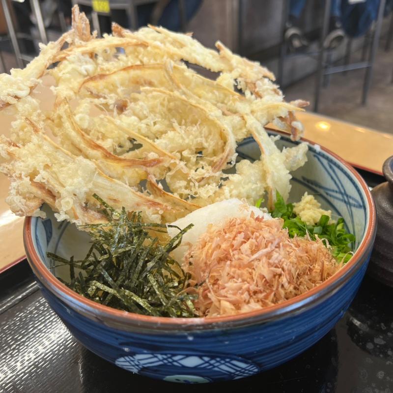 ごぼうおろしぶっかけ(津田屋 官兵衛)