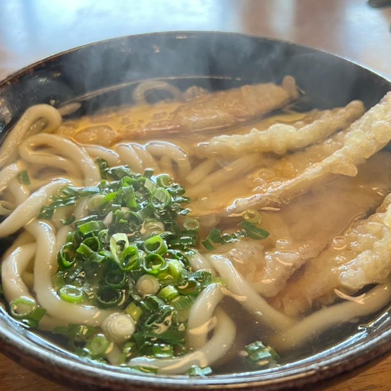 ごぼう天うどん(金比羅うどん 玉川店 )