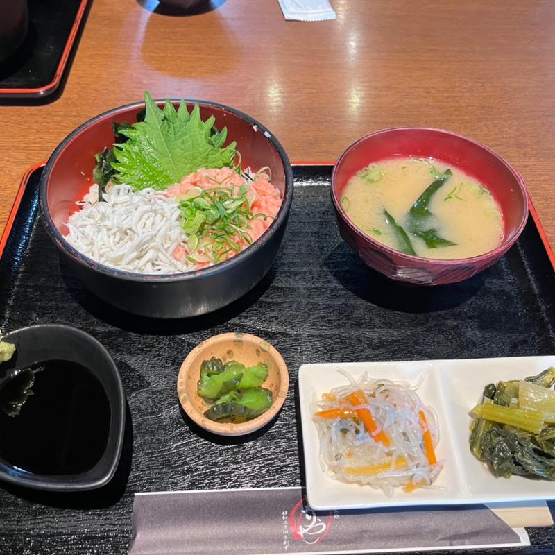日替り定食(とろしらす丼)(ひかりや)