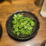 パクチー(シビカラ味噌らー麺 鬼の目にも涙)