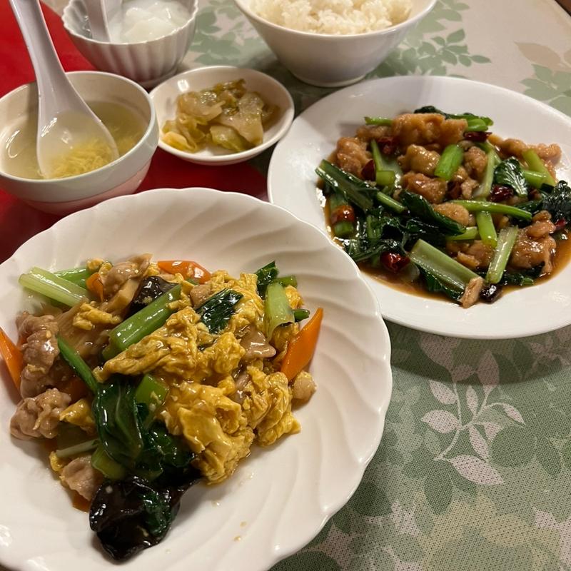 目玉セット(燕来香)