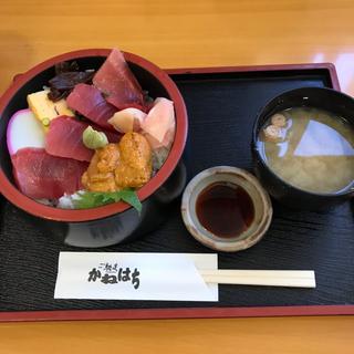 海鮮丼(ゴチソウドコロカネハチ （ご馳走Dokoro かねはち）)