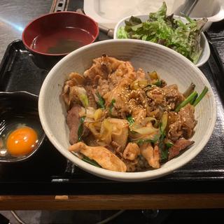 ホルモン丼(肉ダブル)(なかみ屋本店 （ナカミヤホンテン）)