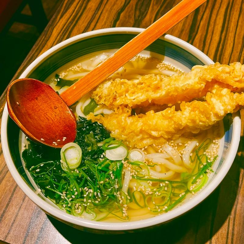 かけうどん(ささ吟 （ササギン）)