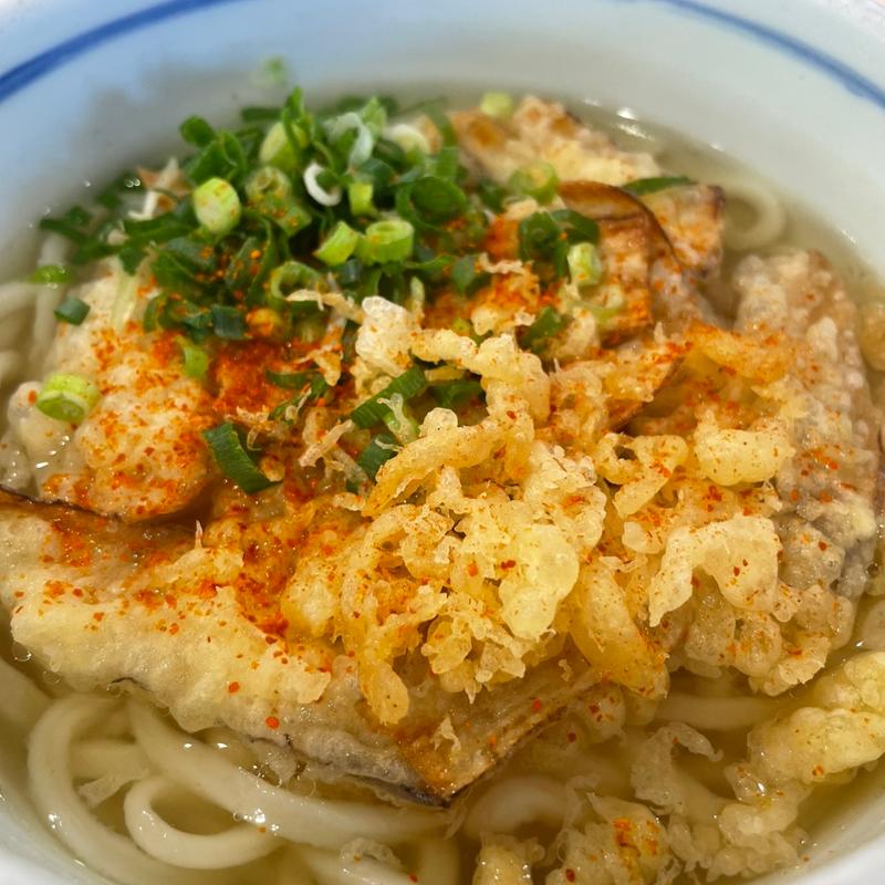ごぼう天うどん(めんの里 あぐんちゃ)