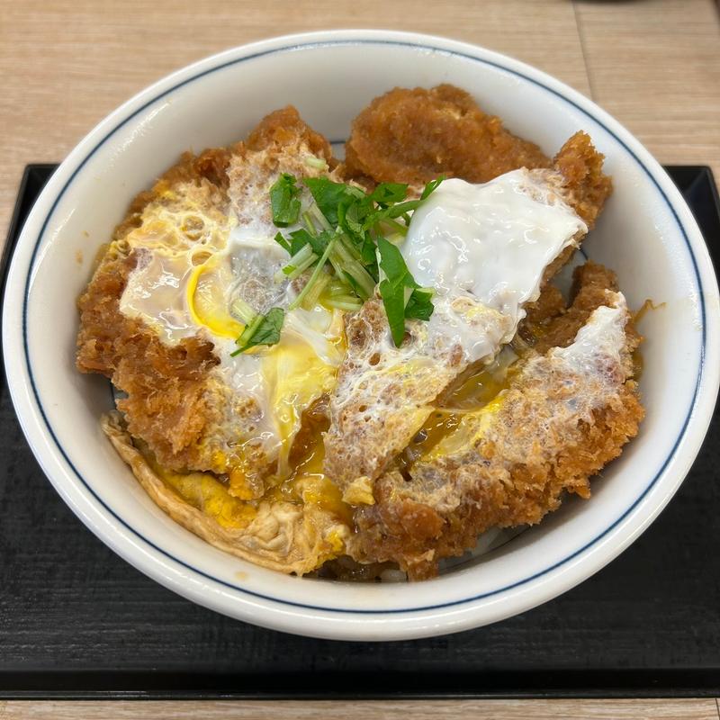 ヒレかつ丼(かつや 新宿南口店 )