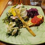プランゾセットの前菜盛り合わせ