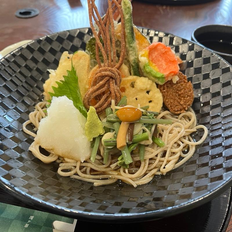 天おろしそば(関ヶ原 そば処幸山)