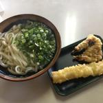 かけうどん