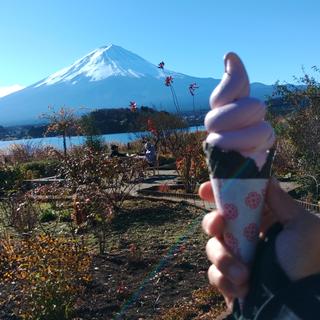 ソフトクリーム(Oishi Park Café)