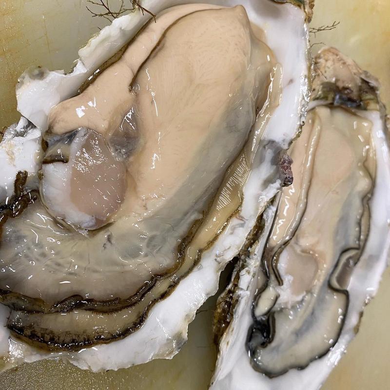 殻付き牡蠣(季節料理 加乃)