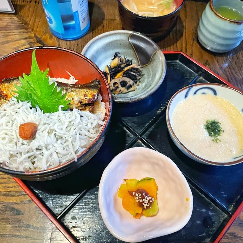 シラスと焼き鰯丼(會水庵)