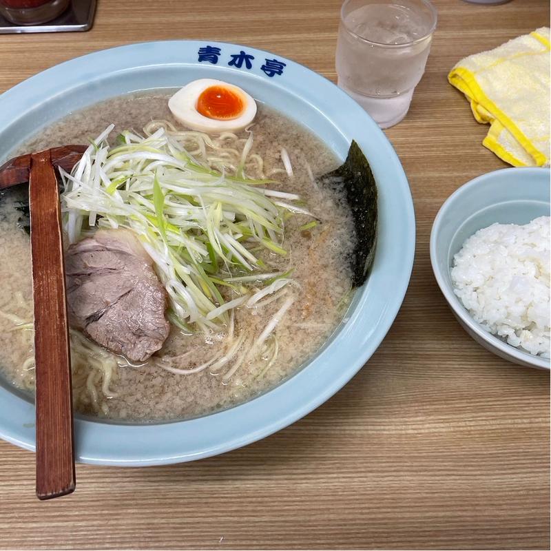 ネギラーメン中、小ライス(ラーメン青木亭)