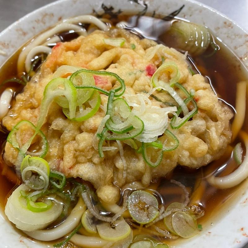 かき揚げうどん(田舎そば かさい)