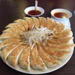餃子中（15個） (石松餃子 本店)