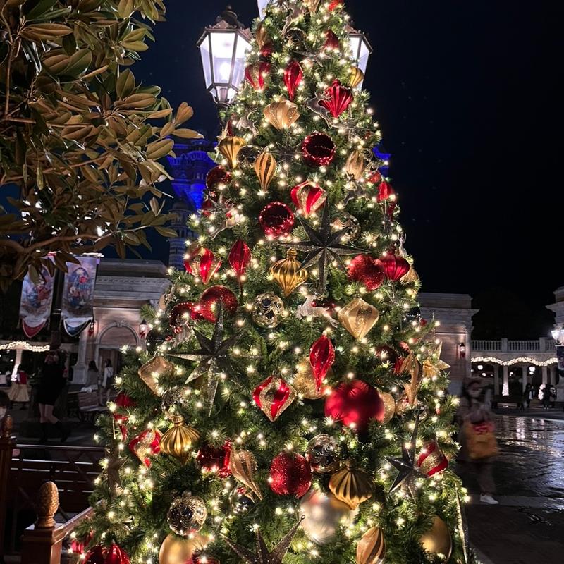 ディズニーシー20周年コース(リストランテ・ディ・カナレット)