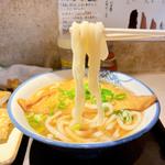 土佐きつねうどん温