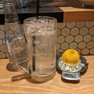 生レモンサワーセット(大衆酒場レインカラー)