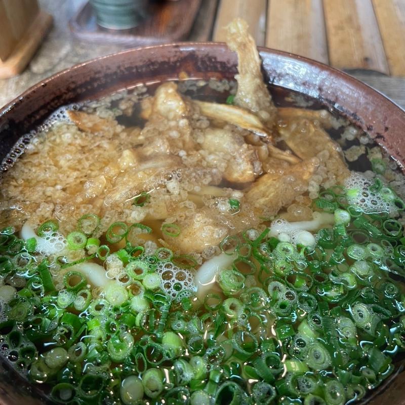 ゴボウ天うどん(めん吉 )