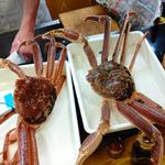 加能ガニ一杯
