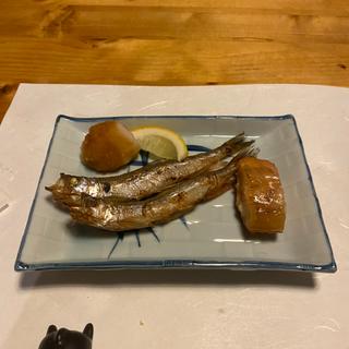 (酒肴 新屋敷)